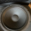 Altavoz Peavey Blue Marvel 16 Ohm (Eminence)