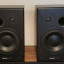 Dynaudio BM15 pareja