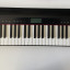 Roland GO PIANO 61 keys