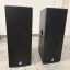 2 Cajas DB Technologies gama Flexys F212 + Fligtcase