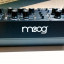 Moog Dfam Semimodular.