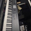 Korg M50 88 Teclas