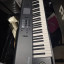 Korg M50 88 Teclas