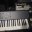 Korg M50 88 Teclas