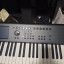 Korg M50 88 Teclas