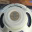 Celestion Alnico cream 16ohm Nuevo