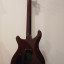 PRS S2 24 Custom