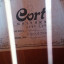 Guitarra acústica CORT FX5