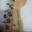 Fender Stratocaster Standard Mex