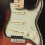 Pastillas stratocaster Fender tex-mex y pickguard