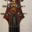 PRS S2 24 Custom