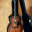 Fender Paramount Po 220 Orchestra