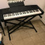 Piano Yamaha teclado YPP15