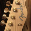 Cambio .Fender Telecaster Richie Kotzen signature