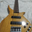 Bass tune twb-5 serie wood custom
