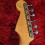 Fender Stratocaster 59 Masterbuilt Dennis Galuszka -- RESERVADA