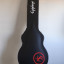 Epiphone Billie Joe Armstrong
