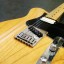 YAMAHA PACIFICA 1511 MIKE STERN Signature