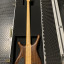 Warwick Infinity Flamed Maple 4 OF Natural
