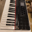 Teclado MIDI Nektar P4