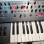 Sequential Prophet 6 no Focusrite