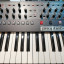 Sequential Prophet 6 no Focusrite