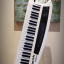 Teclado Roland AX- Synth