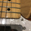 Fender Telecaster Thinline 69 (MIM + con mucho upgrade). (CAMBIOS DENTRO)
