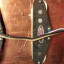 Tokai AST88 2016