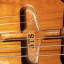 Tokai AST88 2016