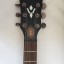 Amplificador Line 6 Spider IV + Guitarra Eléctrica Washburn WI-64/ND Caoba Maciza
