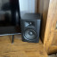 Monitores M-Audio BX5