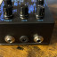 BLACK ARTS TONEWORKS Black forest fuzz RESERVADO
