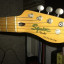 Ataque GAS Cambio Fender Squier Classic Vibe Tele 50's por Epiphone Lucille NO F holes ( ebony )
