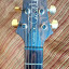 CAMBIOS, PRS Wood Library, limited Edition,10 Top