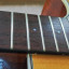 Takamine EG 530 SSC+ Estuche Epiphone