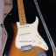 Fender Stratocaster American Standard 1999