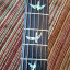 CAMBIOS, PRS Wood Library, limited Edition,10 Top