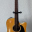 Takamine EG 530 SSC+ Estuche Epiphone