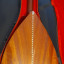 Mandola de Domingos Machado