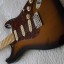 Stratocaster Partcaster (Reservada)
