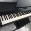Piano Digital Roland RP-102BN Negro