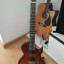 Guitarra Chapman ML2