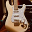 Fender Stratocaster Richie Kotzen