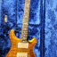 CAMBIOS, PRS Wood Library, limited Edition,10 Top