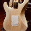 Fender Stratocaster Richie Kotzen