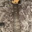 Fender Stratocaster American Professional 2019