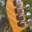 mástil premium WARMOTH telecaster