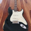 Fender Stratocaster Custom Shop Dual Mag Roasted