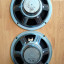 2x Altavoces 10" Marshall